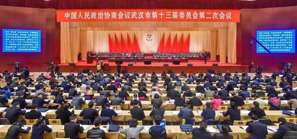 陳義紅出席武漢市第十三屆委員會第二次會議