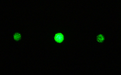 光束采樣器 光束采樣器