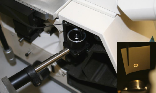 用于寬視場、共焦、雙光子和檢測顯微鏡的可調(diào)焦距鏡頭