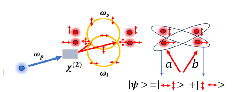 利用SPDC過程產(chǎn)生光子偏振糾纏（貝爾量子態(tài)）的示例